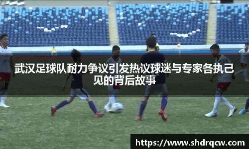 武汉足球队耐力争议引发热议球迷与专家各执己见的背后故事